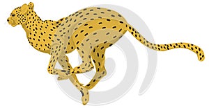 cheetah run animal vector illustration transparent background