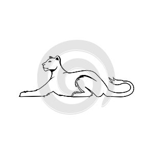 Leoa female line zoo wild animal lioness line logo photo