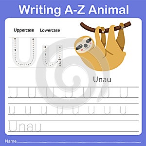 Illustrator of writing a - z animal u unau