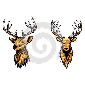 Set of deer head vector illustration
