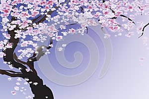 bet Illustration of beautiful pink flowers purple background 3D Wallpaper