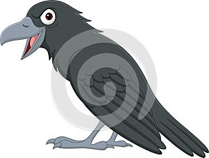 Cartoon crow isolated on white background