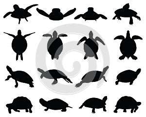 Black silhouettes of turtles