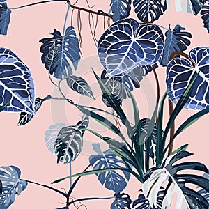 Tropical vintage palm, monstera, plant, floral seamless border pink background. Exotic blue jungle wallpaper.