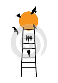 Flying birds silhouettes on sunset and ladder, vector