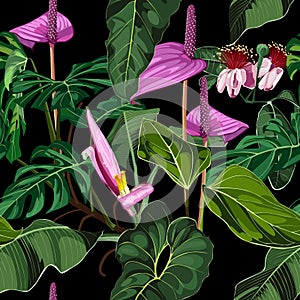 Anthurium, banana flower. Seamless floral pattern with violet glossy flowers and anthurium and palm leaves.