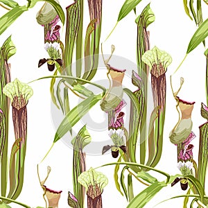 Tropical seamless pattern. Summer print. Jungle rainforest. Sarracenia, genus of carnivorous plants and orchids.