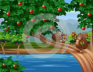 Cartoon a cute squirrels on the apple tree