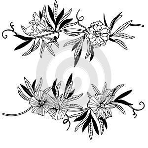 One black outline flower, branch and leaves.Isolated on white background.Hand drawn.