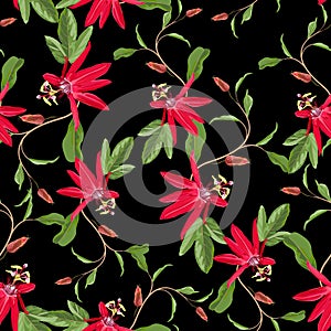 Red Passion flower seamless pattern, buds and leaf on black background.