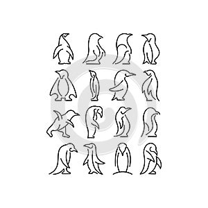 Icon line vector logo template design penguins.