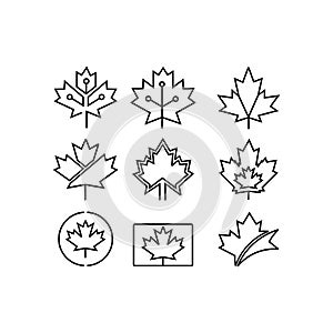 Maple leaf symbol significance gradient linear vector icons