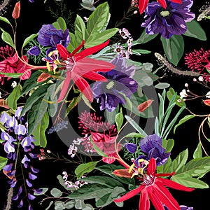 Nature seamless pattern. Hand drawn summer background: Red passion flower, herbs and violet anemones, wisteria flowers.
