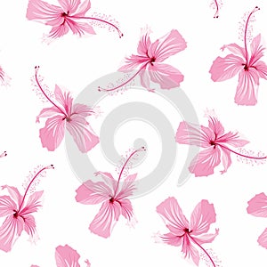 Seamless bright tropical background with a paradise exotic pink hibiscus flower on white background.