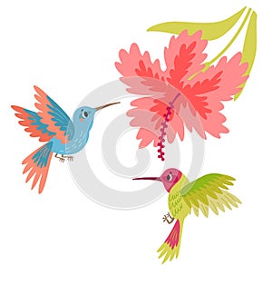 Two hummingbirds with flower vector illustration