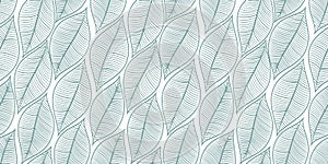 Nature green seamless background. Hand dawned leaves pattern. photo
