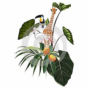 Toucan bird, giraffe, flamingo animals, tropical flowers, palm leaves, jungle leaf composition.