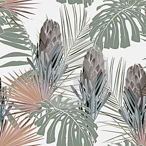 Seamless tropical protea flowers and monstera leaves pattern with palms on light background.