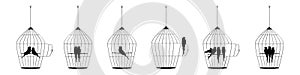 Bird cage illustration with birds silhouettes isolated on white background