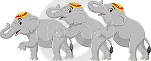 Three cute elephant circus cartoon