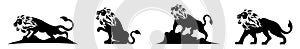Lion wild animal silhouettes. Good use for symbol, logo, web icon, mascot.