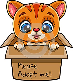 Cute cat cartoon in present gift box with text adopt me please