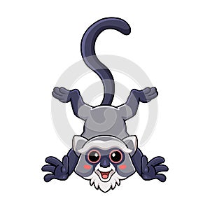 Cute samango monkey cartoon posing