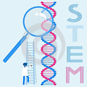 Science, Technology, Engineering, and Math (STEM) Education