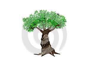 Olive tree logo hand drawing vector isolated