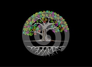 Old olive tree on black background