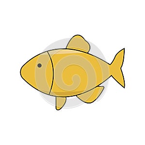 orange fish cartton, Outline, fish illustration, underwater nature,life wild animal,cute fish,childrens book, education, animals photo