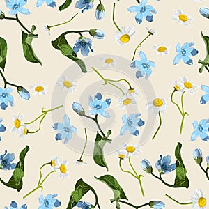 Seamless pattern with blue oxypetalum, camomille flowers, a beige background. photo