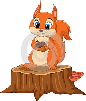 Cartoon funny squirrel holding a pine cone on tree stump