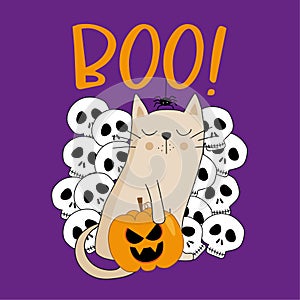 Boo - funny cat with skulls, spider and pumpkin. Isolated on purple background