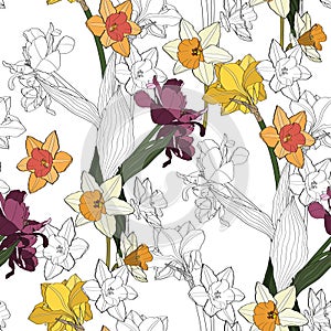 Seamless delicate pattern with spring line flowers. Bright spring  daffodils, tulips illustration.