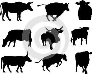 Cow Silhouette Set
