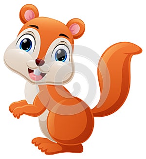 Cute little squirrel cartoon on white background