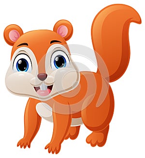 Cute little squirrel cartoon on white background