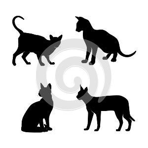 Set of cats silhouettes vector