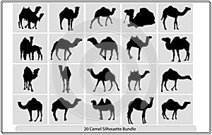 Camel Silhouettes,Black Camel Illustration,Camel icon silhouette,Silhouettes of camels with camel drovers