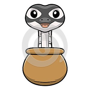 Cute axanthic ball python cartoon inside the sack