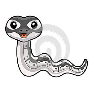 Cute axanthic ball python cartoon