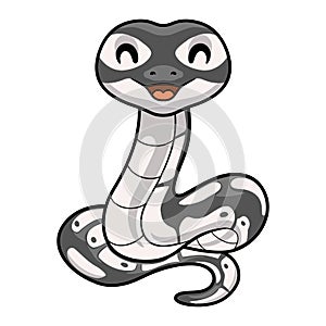 Cute axanthic ball python cartoon