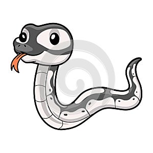 Cute axanthic ball python cartoon