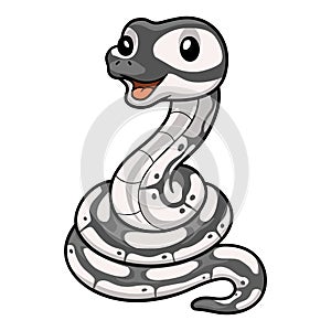 Cute axanthic ball python cartoon