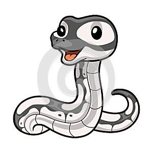 Cute axanthic ball python cartoon