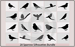 Vector Collection of Bird Silhouettes,sparrow vector silhouette,Vector silhouettes of birds