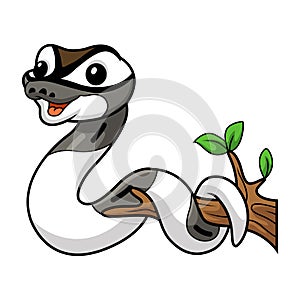 Cute axanthic pied ball python cartoon on tree branch
