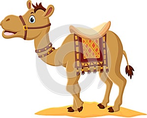 Cartoon cute camel with saddlery