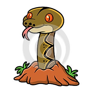 Cute reticulatus python cartoon out from hole